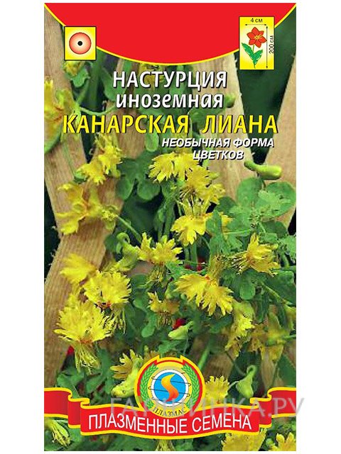Семена Настурция Канарская лиана иноземная (Плазмас)