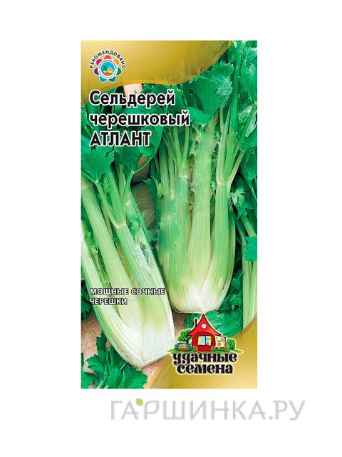 Семена Сельдерей Атлант черешковый, 0,3 гр