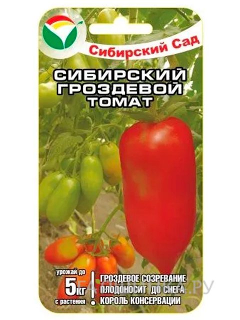 Семена Томат Сибирский гроздевой 20шт.