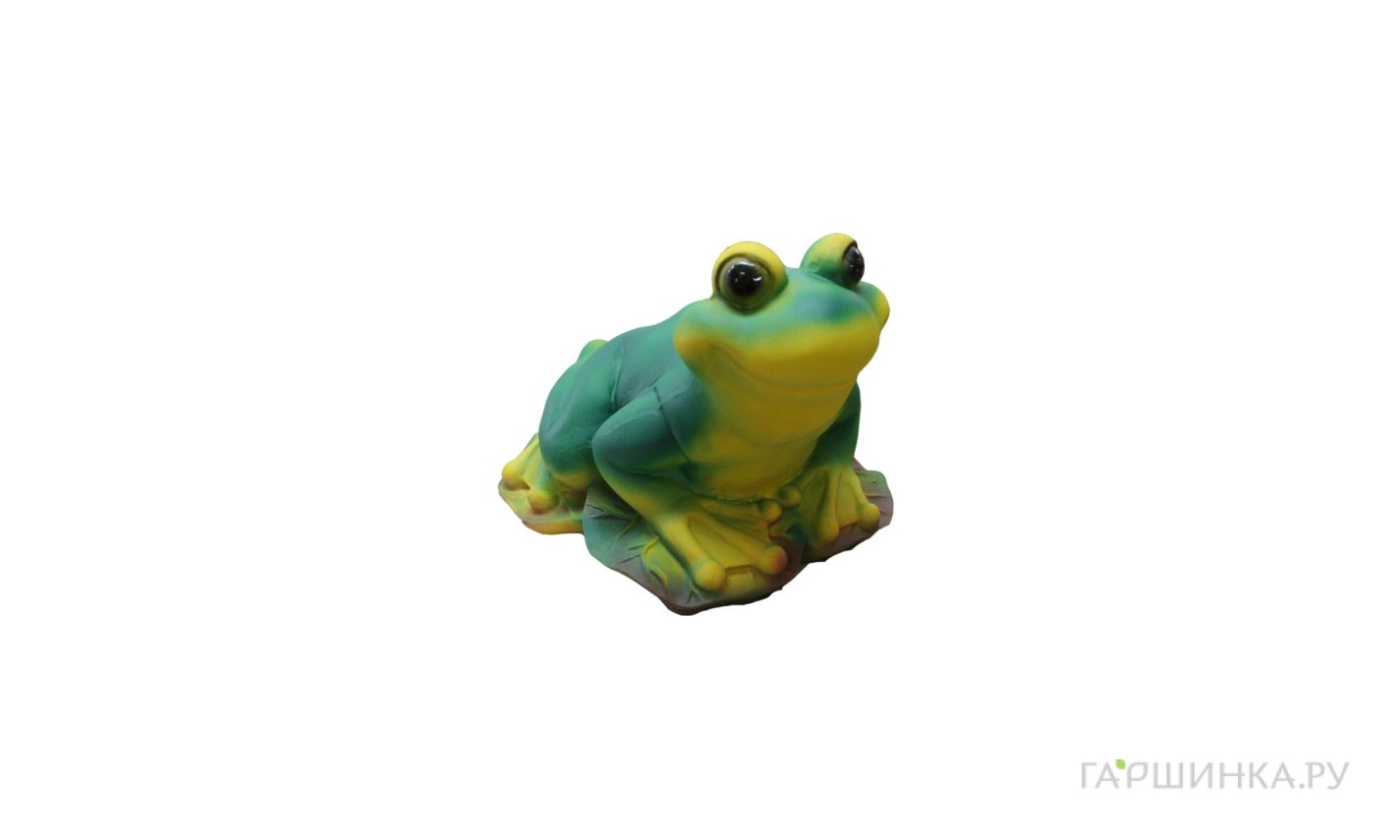 Лягушка на листьях  19х33