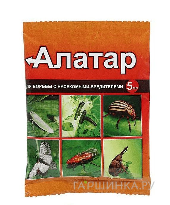 Алатар
