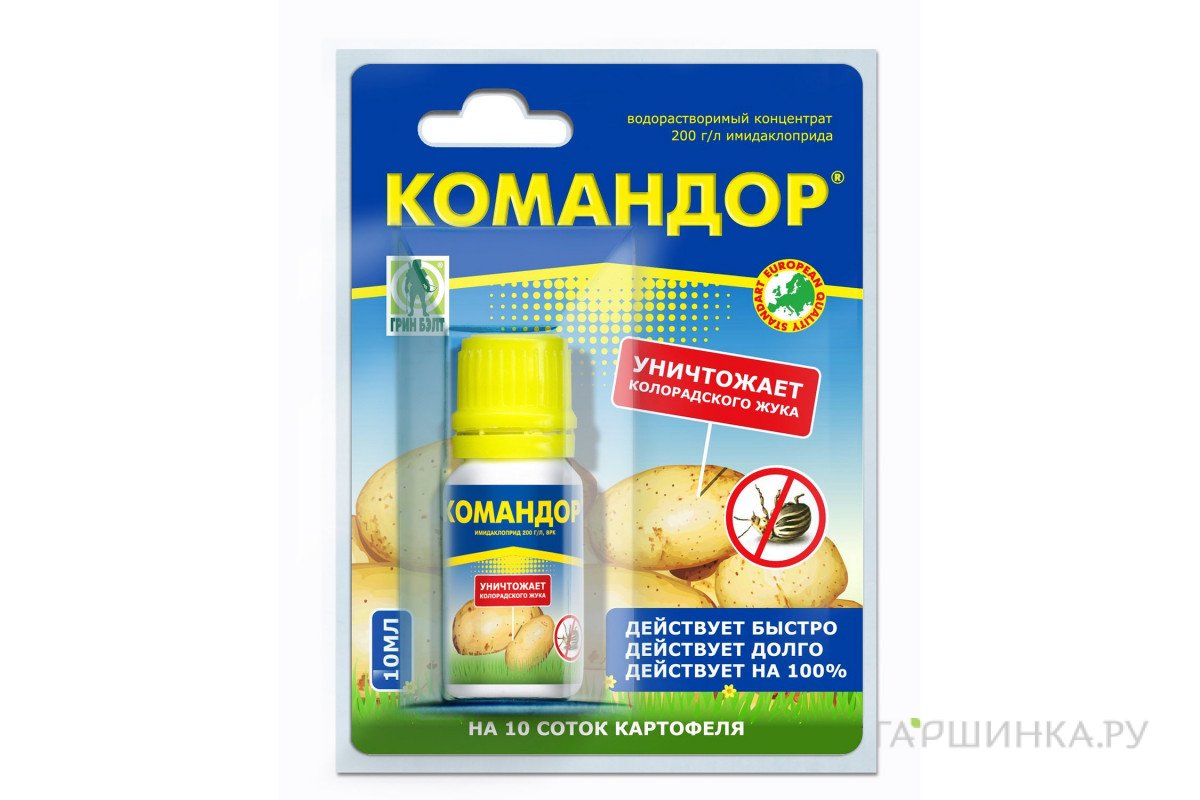 Командор