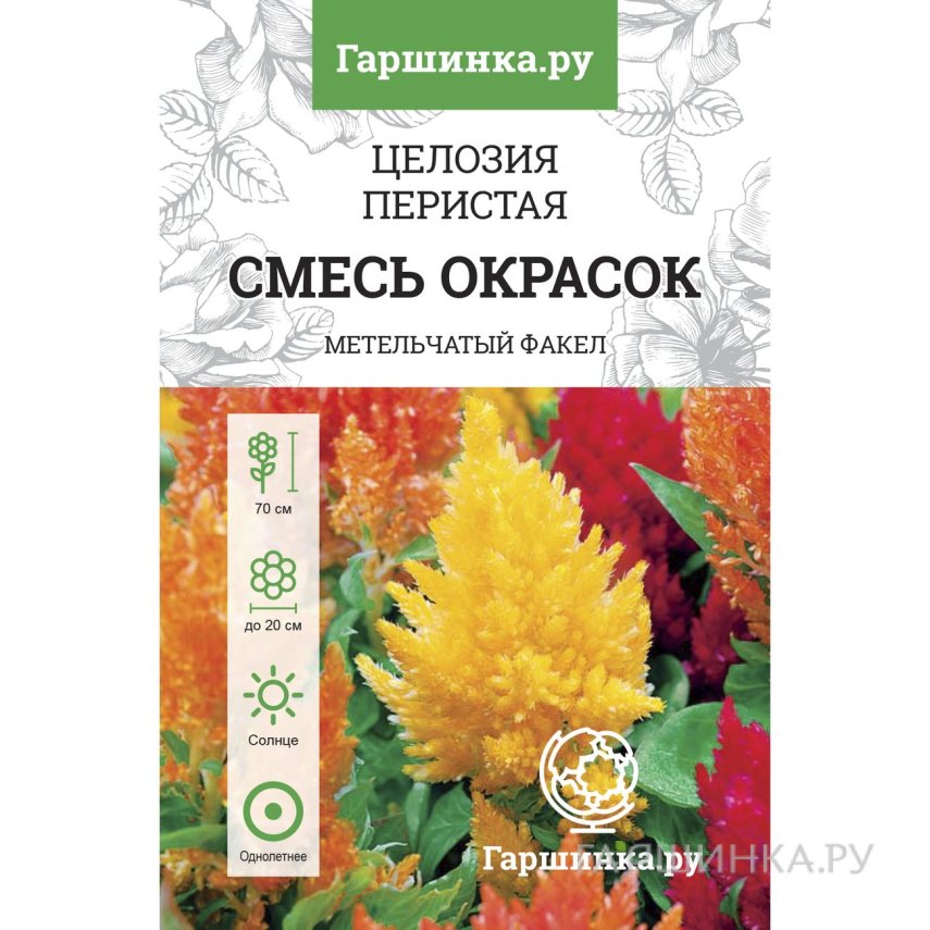 Семена Целозия Перистая, смесь окрасок