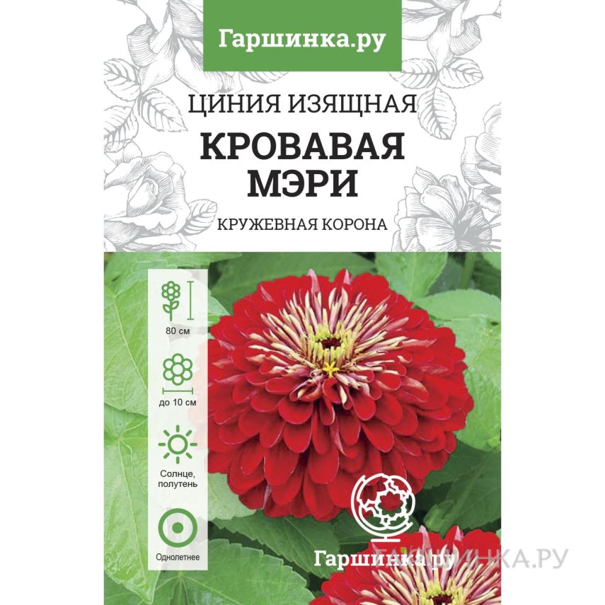 Семена Цинния изящная Кровавая Мэри