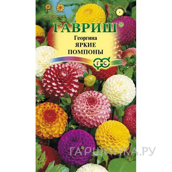 Семена Георгина Яркие помпоны 0,2 г