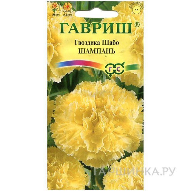 Семена Гвоздика Шабо Шампань, 0,1 г