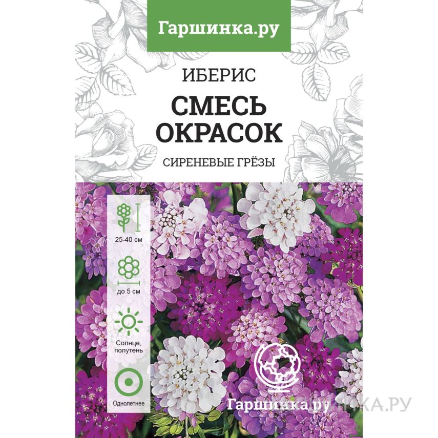 Семена Иберис зонтичный Смесь окрасок