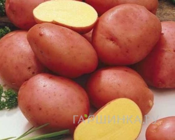 Картофель Алена 2кг