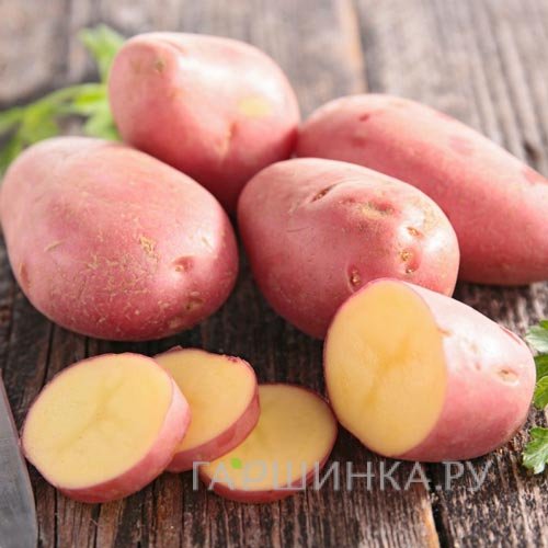 Картофель Ажур 2кг