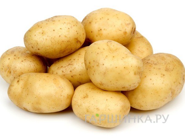 Картофель Кортни