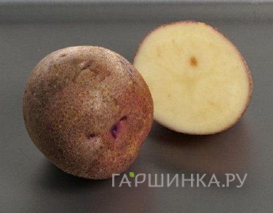 Картофель Сиреневый Туман 2кг
