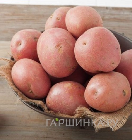 Картофель Юбиляр 2кг
