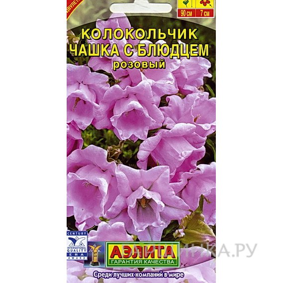 Семена Колокольчик Чашка с блюдцем розовый