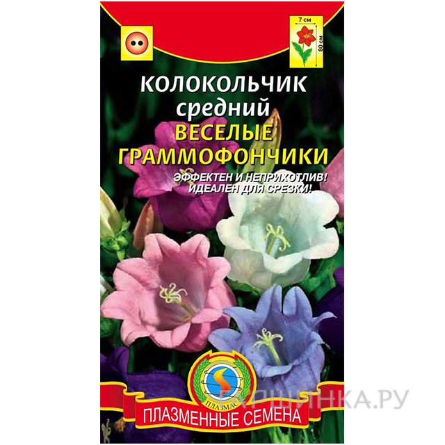 Семена Колокольчик Весёлые граммофончики, смесь