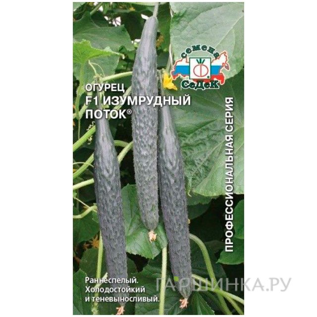 Семена Огурец Изумрудный Поток (Седек) 0,2 г