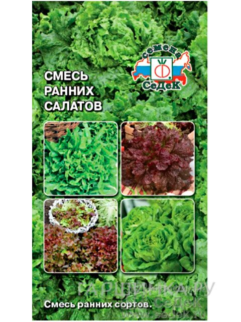 Семена Салат Смесь ранних сортов,1 г