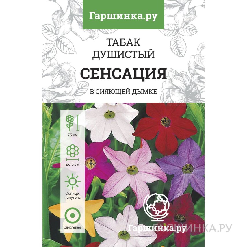 Семена Табак душистый Сенсация