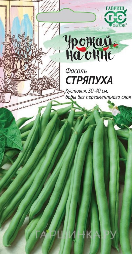 Семена Фасоль спаржевая Стряпуха
