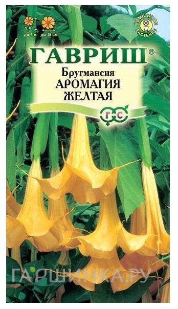 Семена Бругмансия Аромагия желтая 3 шт