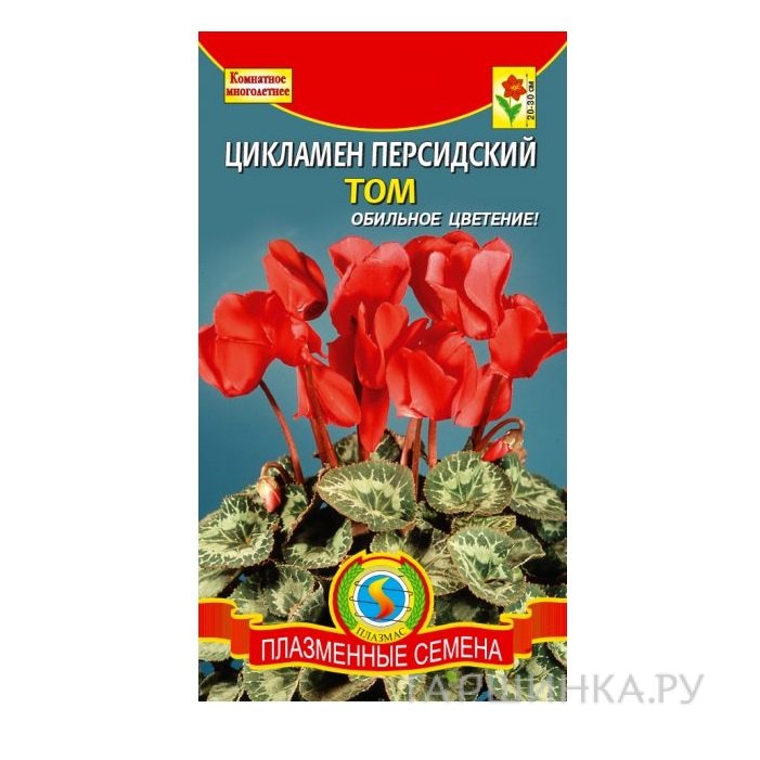 Семена Цикламен персидский Том