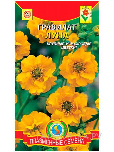 Семена Гравилат Луна 0,1 г