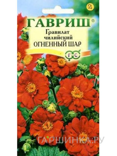 Семена Гравилат Огненный шар чилийский 0,1 г