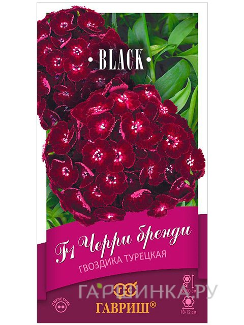 Семена Гвоздика турецкая Черри бренди 5 шт
