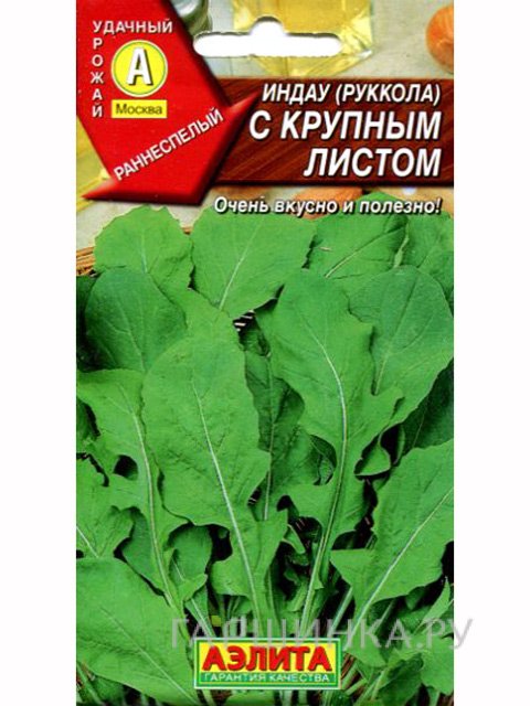 Семена Индау (руккола) с крупным листом