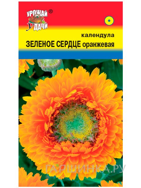 Семена Календула Зелёное сердце оранжевая 0,3 г