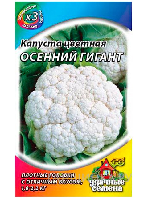 Семена Капуста цветная Осенний гигант, 0,3 г