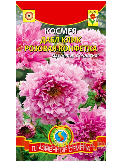 Семена Космея Дабл Клик Розовая конфетка, 10 шт