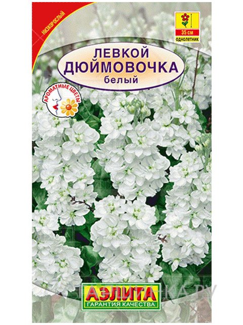 Семена Левкой Дюймовочка белый карликовый, 0,1 г
