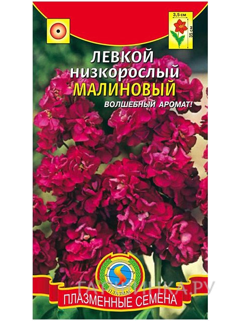 Семена Левкой Малиновый низкорослый