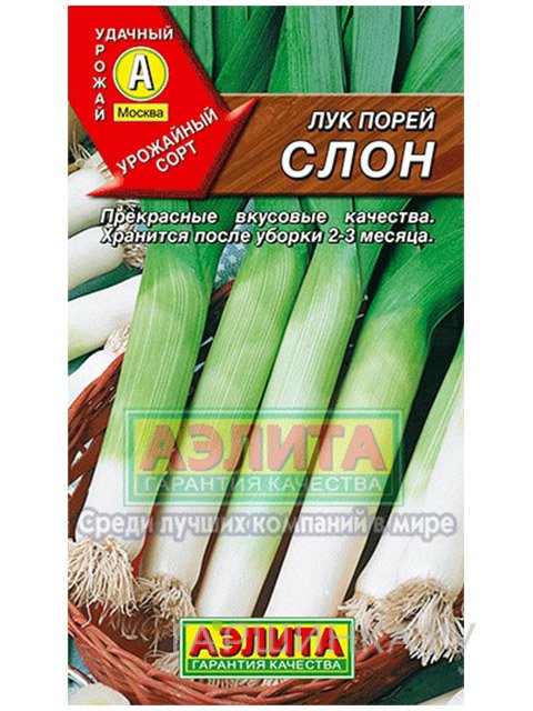 Семена Лук порей Слон 1 г