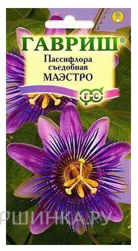 Семена Пассифлора Маэстро, 5 шт