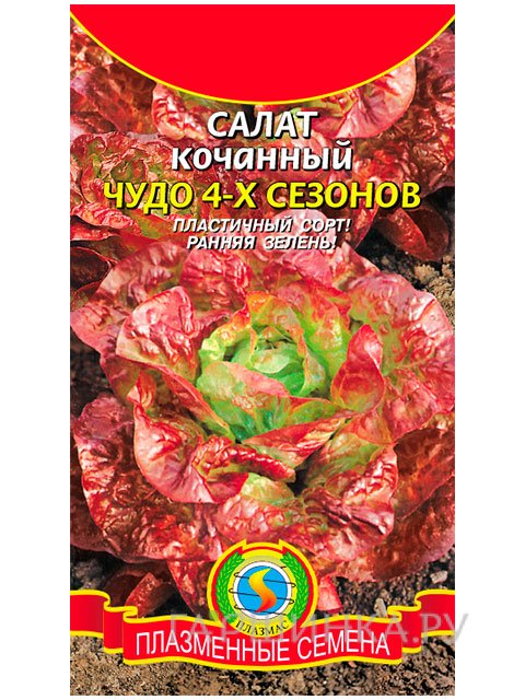Семена Салат Чудо 4-х сезонов 0,5 г