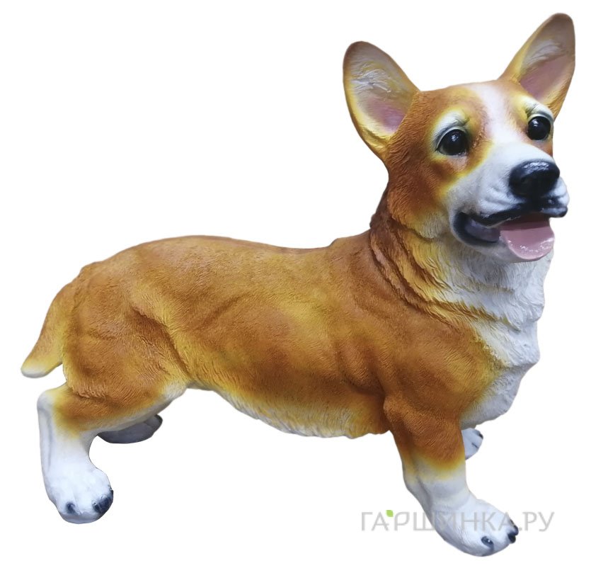 Собака Корги 21*47*42