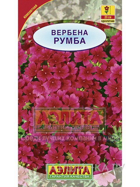 Семена Вербена Румба гибридная 0,05