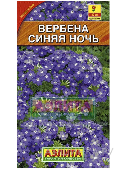 Семена Вербена Синяя ночь
