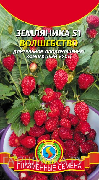 Семена Земляника Волшебство альпийская