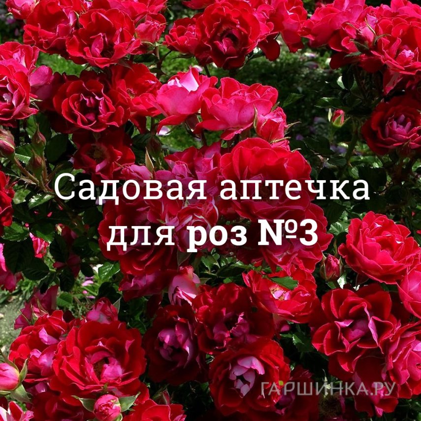 Аптечка для роз №3
