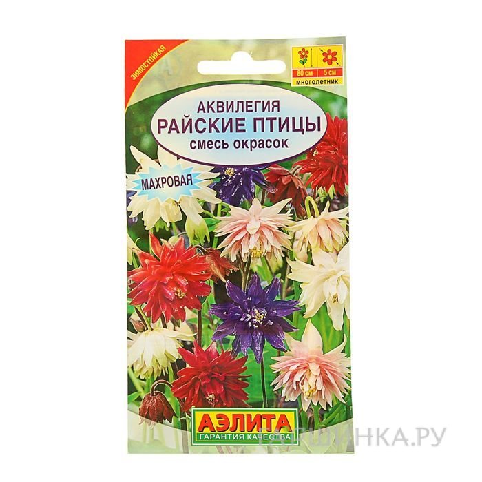Семена Аквилегия Райские птицы 0,2гр ЦП