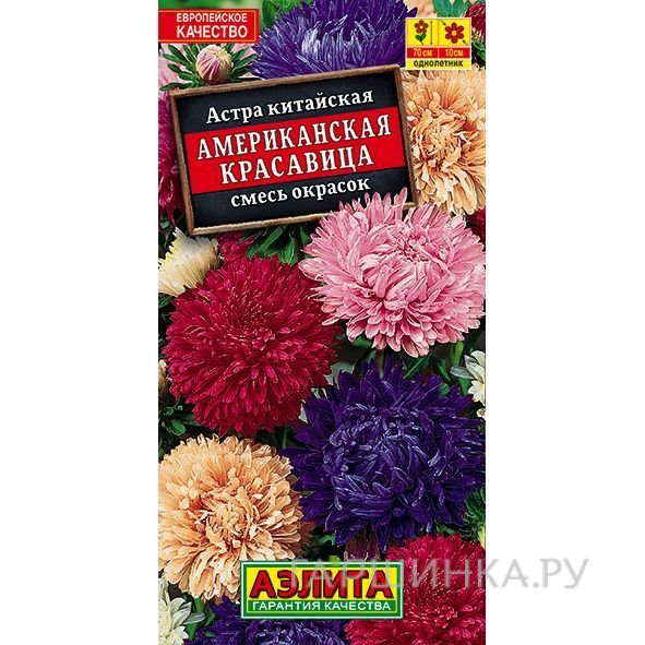 Семена Астра Американская красавица, 0,2гр ЦП