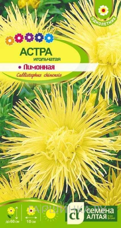 Семена Астра Игольчатая лимонная 0,3гр ЦП