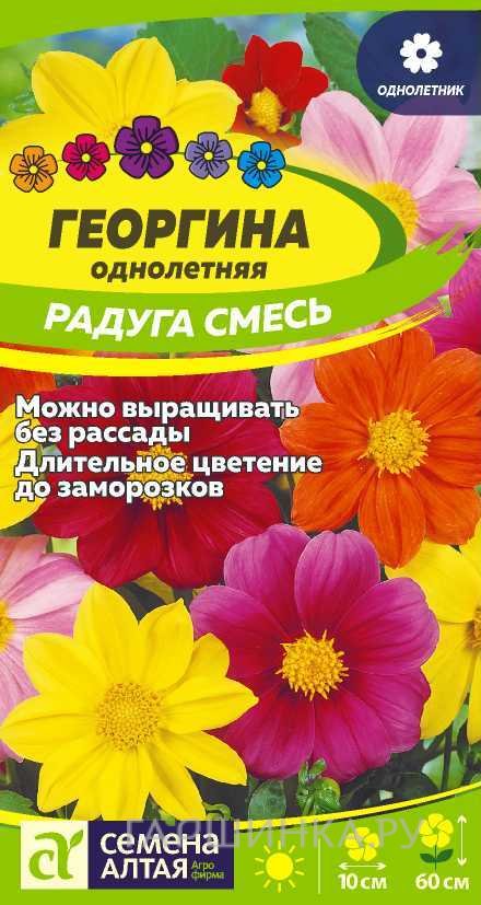 Семена Георгина Радуга 0,2гр ЦП
