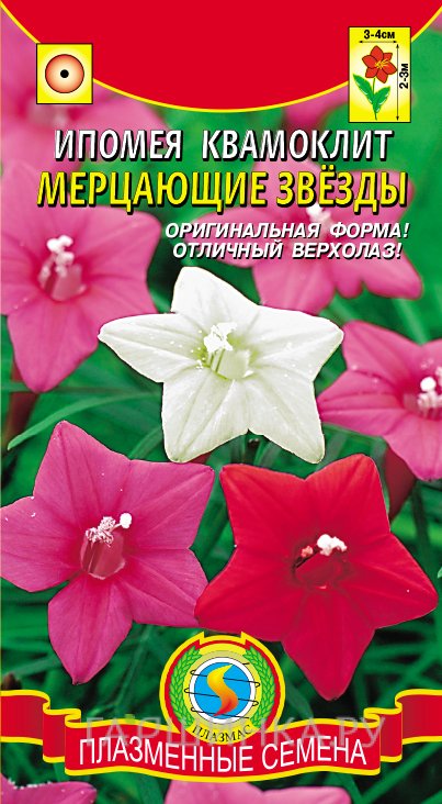Семена Ипомея квамоклит Мерцающие звёзды ц.п. 10шт