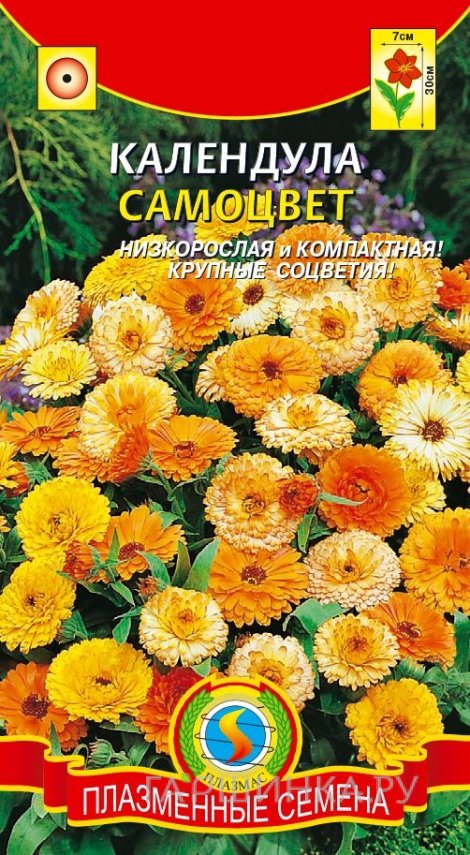 Семена Календула Самоцвет ц.п. 0,3 гр
