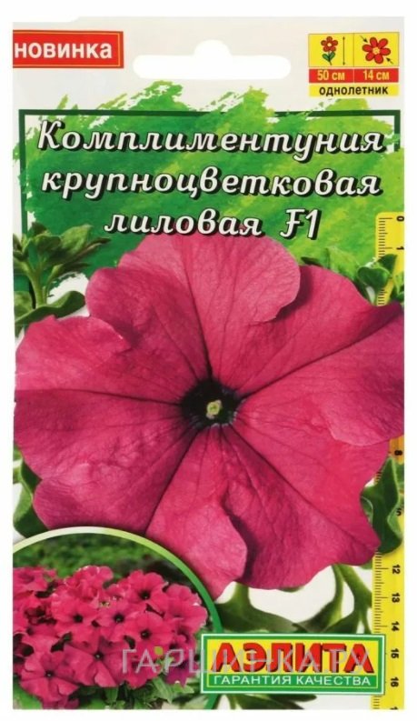 Семена Комплиментуния лиловая10шт ЦП