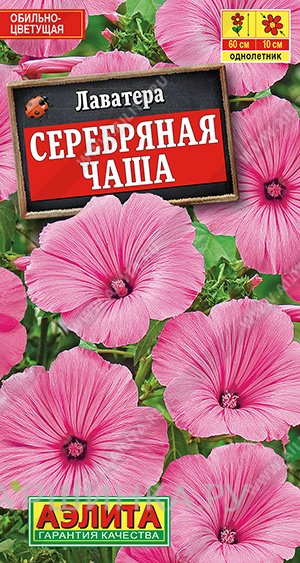 Семена Лаватера Серебряная чаша ЦП