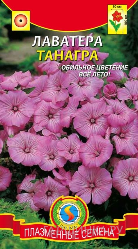 Семена Лаватера Танагра ц.п. 0,3 гр
